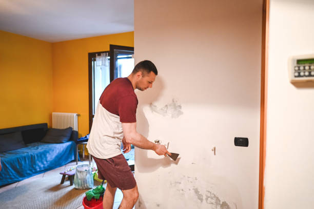 Best Black Mold Remediation in Colchester, IL